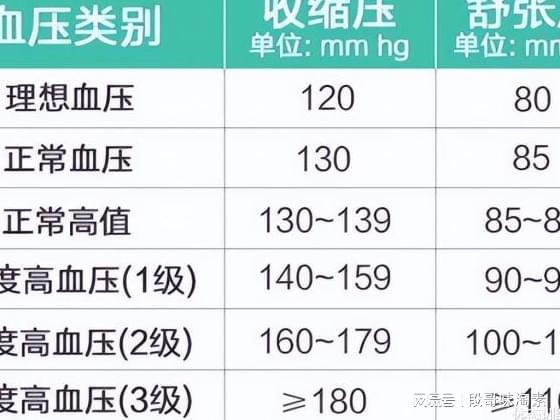 全球协同进步，最新国际标准引领发展之路