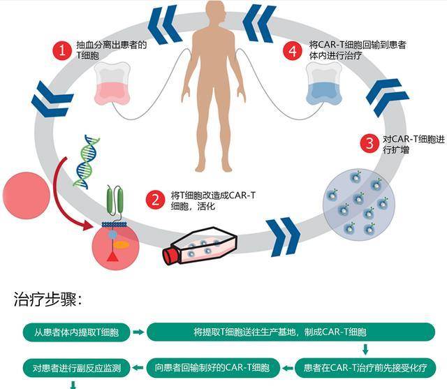 癌症治疗最新进展，突破与创新的前沿领域探索