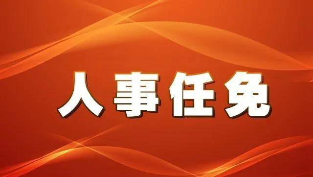 人事任免最新动态，深度解析及影响展望