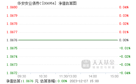 000978最新净值深度解析报告