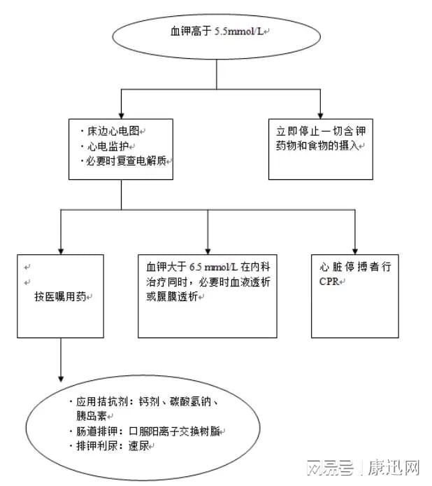 最新CPR（心肺复苏术）流程全面解析