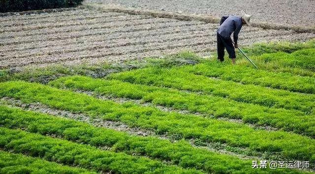 最新拆迁规定及其深远影响