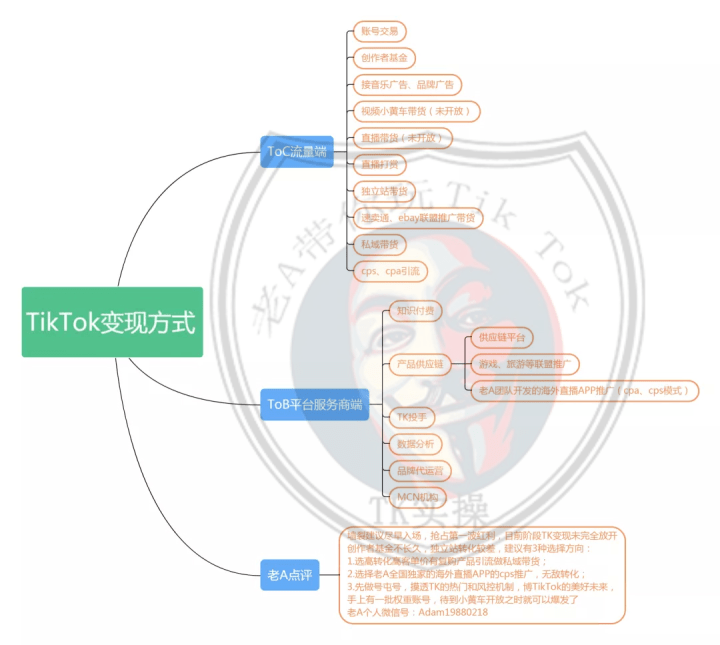 最新共享项目引领未来社会共享价值重塑