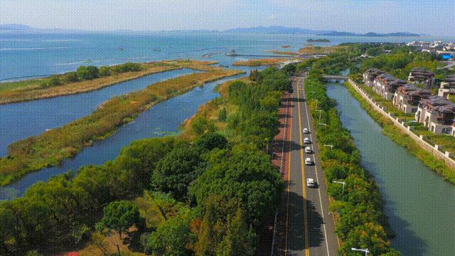 京东引领电商新时代，全方位消费体验新篇章