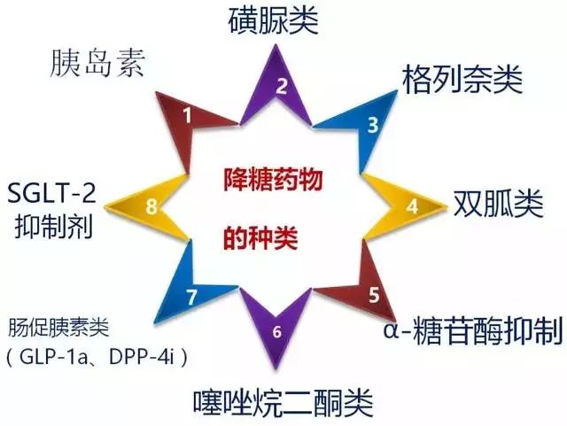 最新降糖药物研究进展及临床应用概述