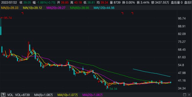 最新股价动态分析与未来展望