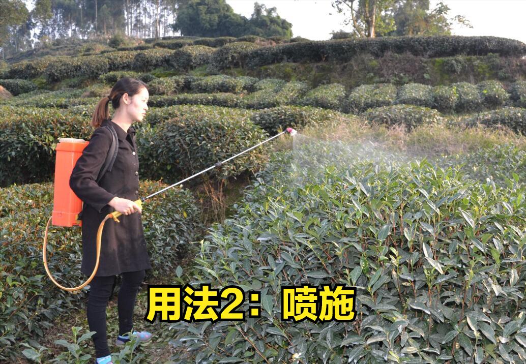 最新杀菌农药引领农业生产未来之路的变革