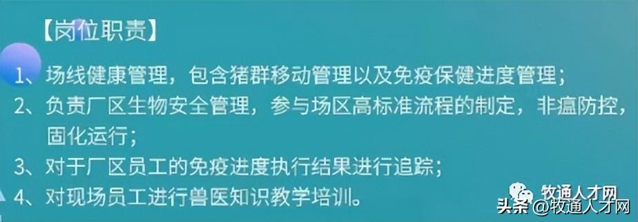 通许最新招聘动态与职业机会深度探讨