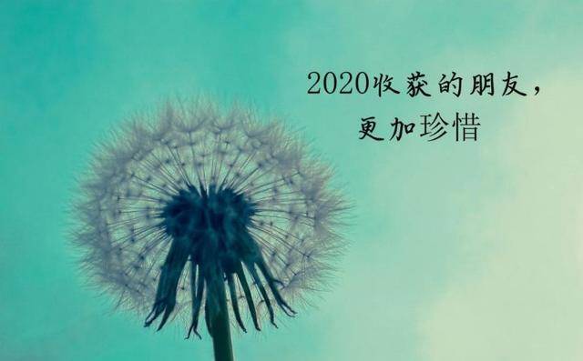 探索自我，感悟生活点滴美好，最新心情说说2024