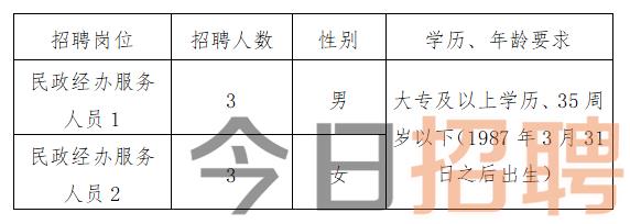 正安最新招聘动态与职业机遇展望