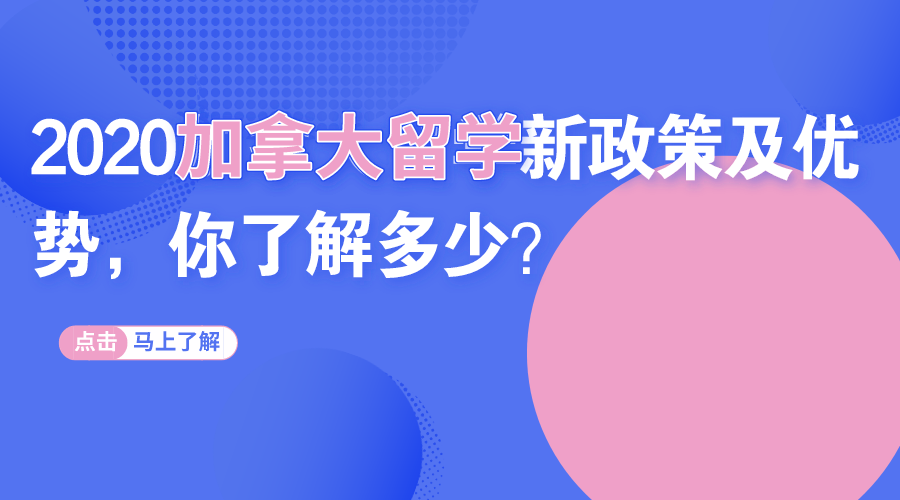 全球视野下的机遇与挑战，最新出国政策解析